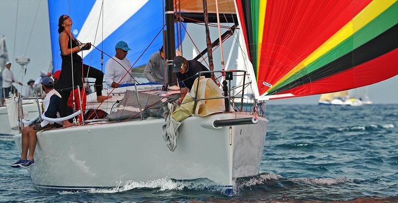 Senara photo copyright John Payne taken at Solo Offshore Racing Club and featuring the IRC class