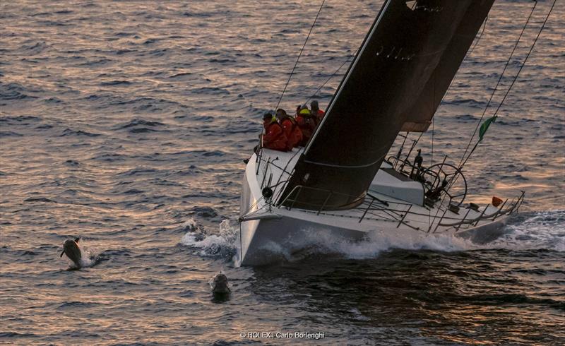 The crew of Black Pearl with dolphins at the Fastnet Rock - photo © Carlo Borlenghi / ROLEX
