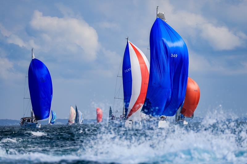 Sail Port Stephens photo copyright Salty Dingo taken at Newcastle Cruising Yacht Club and featuring the IRC class