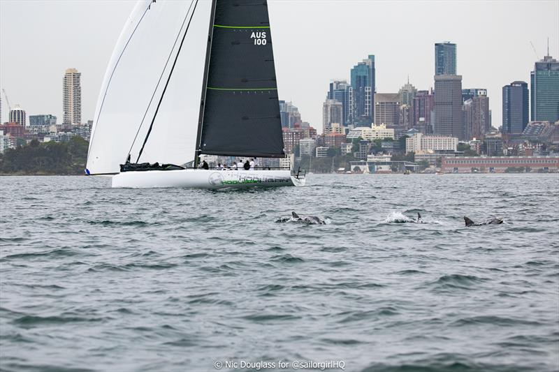 LGT Wealth Management Australia Cup - Hooligan family and friends photo copyright Nic Douglass for @sailorgirlHQ taken at Cruising Yacht Club of Australia and featuring the IRC class