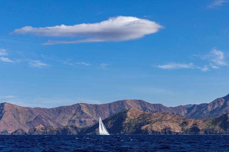 Rolex China Sea Race 2024 - photo © Rolex / Andrea Francolini