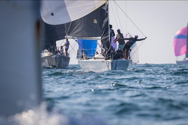 50% longer distance coastal courses - photo © Mikey Brignall / DOSC