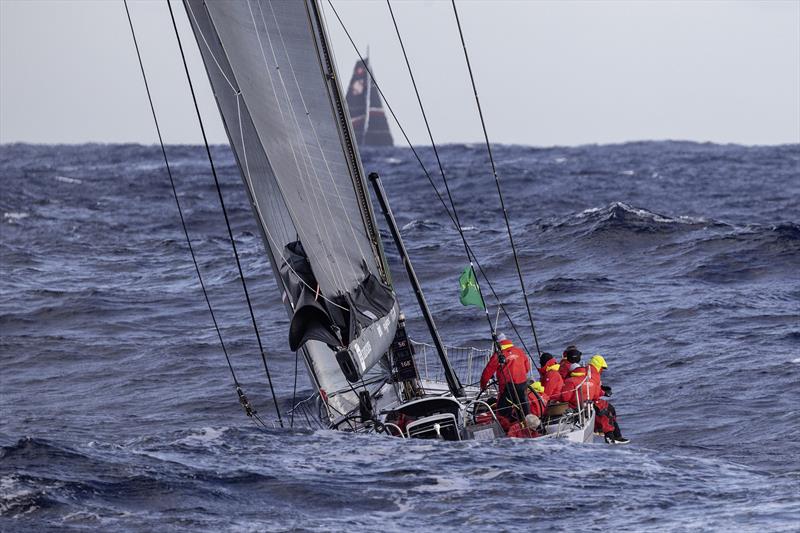 Palm Beach XI looks ahead to SHK Scallwag - photo © Rolex / Andrea Francolini