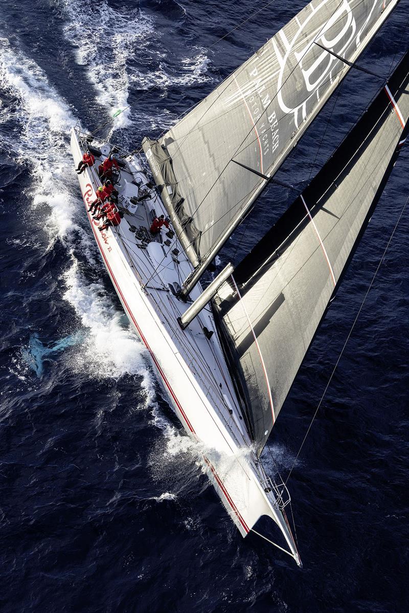 Palm Beach XI - photo © Rolex / Andrea Francolini