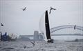Daguet 2 takes aim at the Harbour Bridge - 2026 Nautilus Marine Insurance Sydney Harbour Regatta