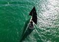 Blackadder took the win in the Cruising division at Brisbane Race Week 2026 &copy; Nic Douglass for @sailorgirlHQ