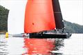 Close finishes in the 2026 Pallas Capital Gold Cup &copy; Nic Douglass for @sailorgirlHQ