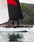 Beau Ideal crosses the line in the final race of the 2026 Pallas Capital Gold Cup &copy; Nic Douglass for @sailorgirlHQ