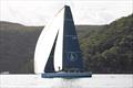 Highly Sprung in the 2026 Pallas Capital Gold Cup &copy; Nic Douglass for @sailorgirlHQ