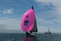 NJO Sails and Dart Sails & Covers Regatta at Plym YC &copy; D Eales