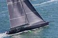Black Jack 100 - 2026 Newport Bermuda Race &copy; Daniel Forster