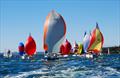 &copy; Port Dalrymple Yacht Club