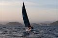 El Jaleo wins the Armada Cup Race 2026 &copy; DOCVENT