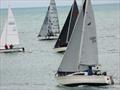 © Issac Sherman-Davies They're Off - Aeshna, Katabatic, Drycin Bach and Rev Band during the Cardigan Bay Regatta at New Quay, Wales © Issac Sherman-Davies
