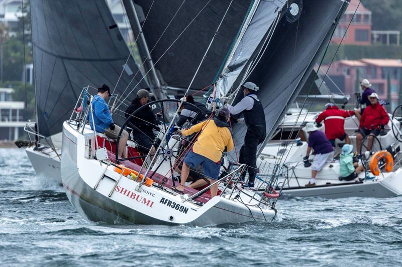 Dog eat dog in the Performance division - Nautilus Marine Insurance Sydney Harbour Regatta photo copyright Andrea Francolini / MHYC taken at Middle Harbour Yacht Club and featuring the IRC class