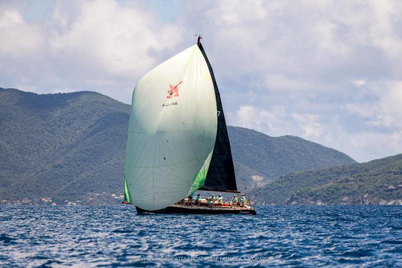 The chartered J120 J-aguar - 2026 BVI Spring Regatta & Sailing Festival photo copyright Tidal Pulse / Andrea Azzopardi taken at Royal BVI Yacht Club and featuring the IRC class