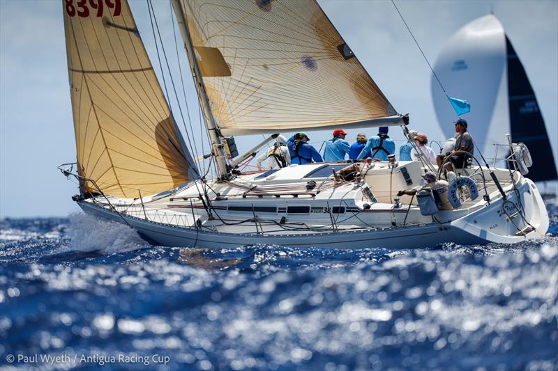 Sigma 38 The Project - Antigua Racing Cup 2026 - photo © Paul Wyeth / Antigua Racing Cup