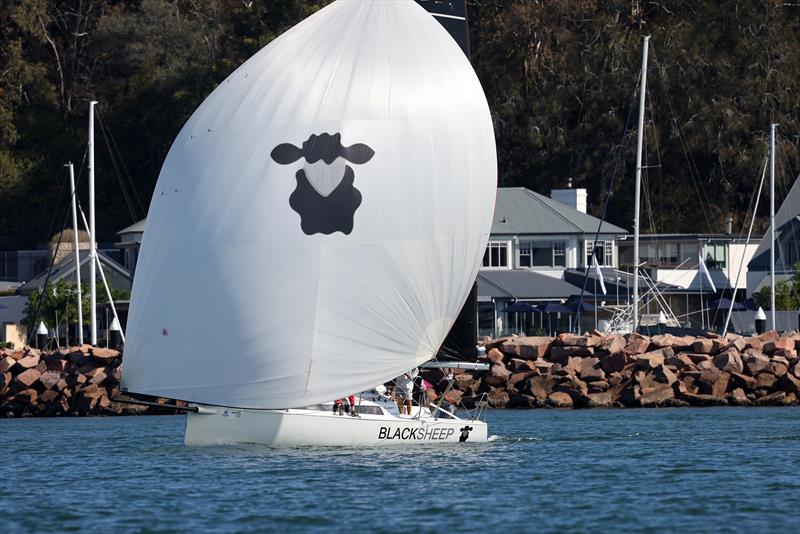 Div 3 winner Blacksheep - 2026 Sail Port Stephens Commodores Cup Passage Series Day 2 photo copyright Mark Rothfield taken at Newcastle Cruising Yacht Club and featuring the IRC class
