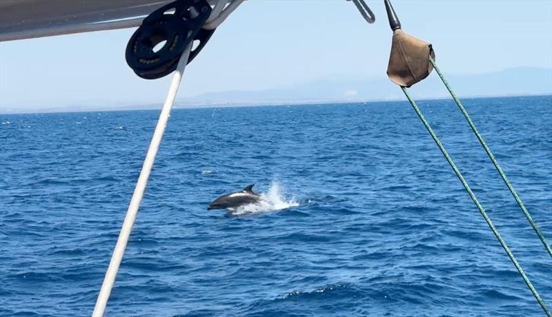 Before the wind started to quit, scenes of life aboard and champagne sailing  sent in from members of the fleet - photo © Nikos Alevromytis / Alen Photography