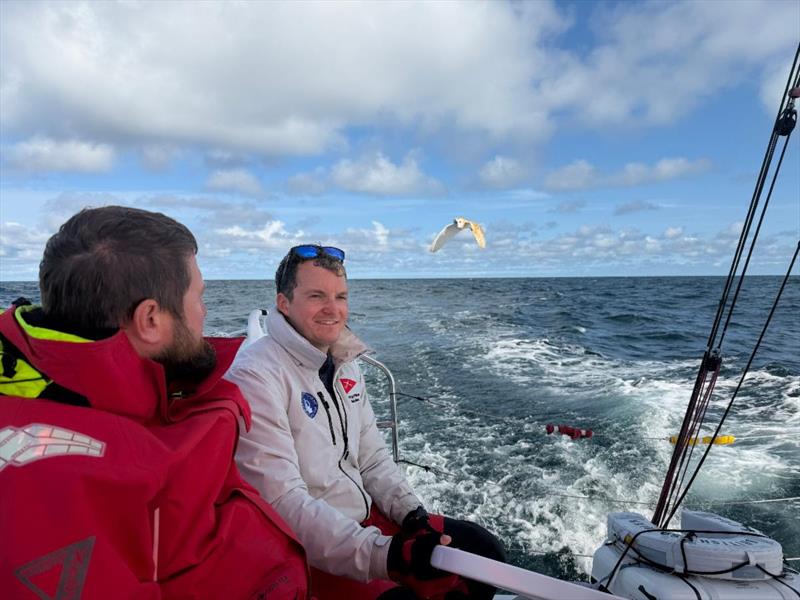 The exhausted barn owl attempts to land on board the Army Sailing Association's Sun Fast 3600 Fujitsu British Soldier - photo © Fujitsu British Soldier