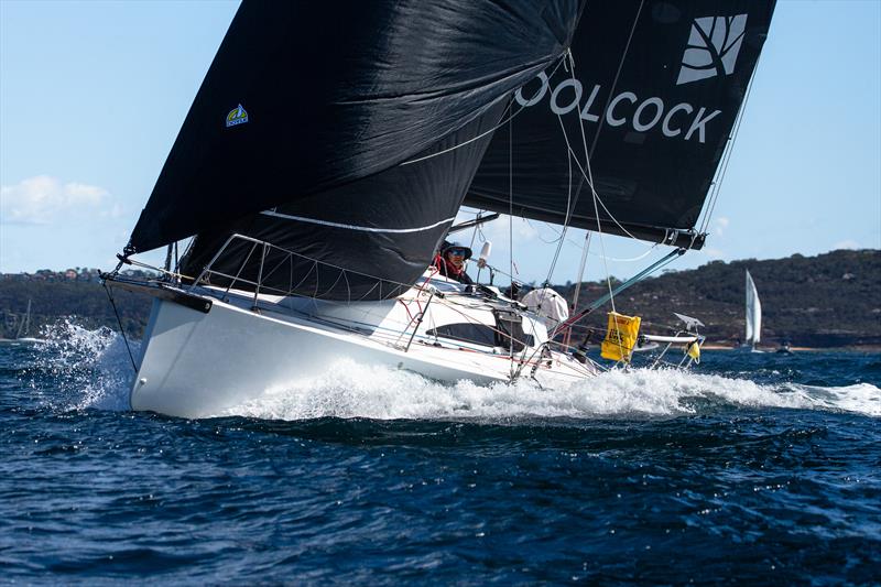 2025 Flinders Islet Race - photo © Ashley Dart / CYCA