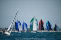 Ullman Long Beach Race Week - Day 1 © Lisa Bronitt