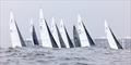 2025 Yachting Cup final day © Colin Grey
