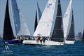 J/105 North American Championship 2025 © Tim Wilkes Photography