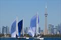 J/105 North American Championship 2025 © Tim Wilkes Photography
