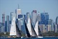 J/105 North American Championship 2025 © Tim Wilkes Photography