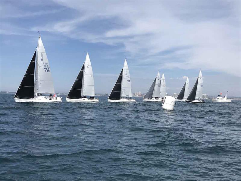 2018 J Fest Regatta photo copyright San Diego Yacht Club taken at San Diego Yacht Club and featuring the J105 class