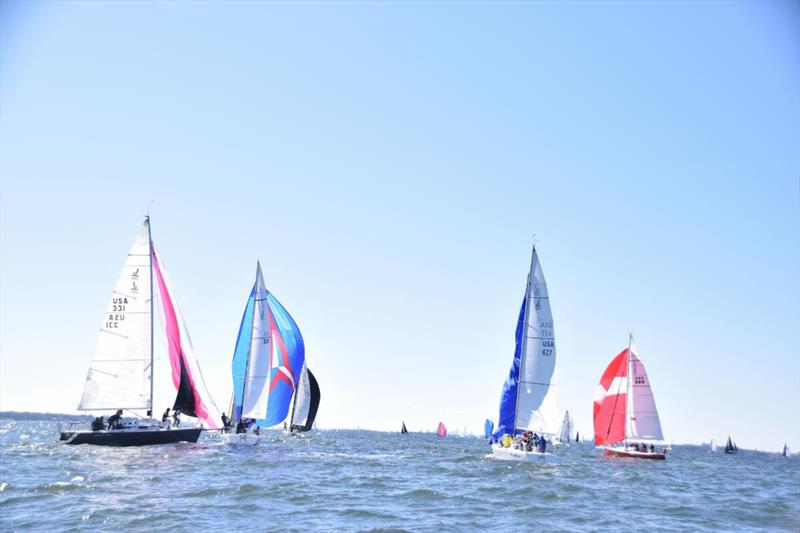 2019 American Yacht Club Fall Regatta photo copyright American Yacht Club taken at  and featuring the J105 class