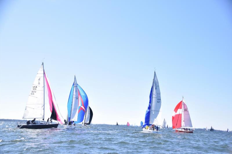 2019 American Yacht Club Fall Regatta - photo © American Yacht Club