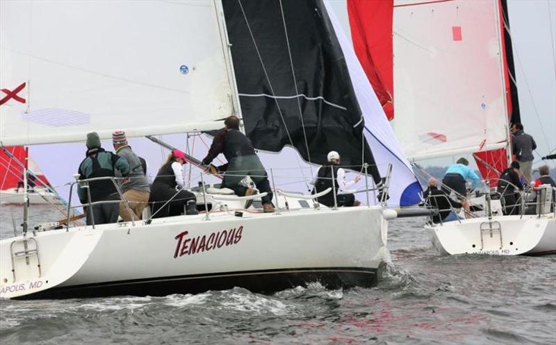 J/105 Chesapeake Bay Championship photo copyright Annapolis Yacht Club taken at Annapolis Yacht Club and featuring the J105 class