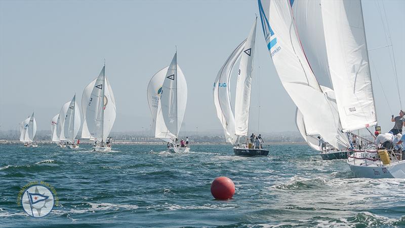 International Masters Regatta photo copyright Mark Albertazzi taken at San Diego Yacht Club and featuring the J105 class