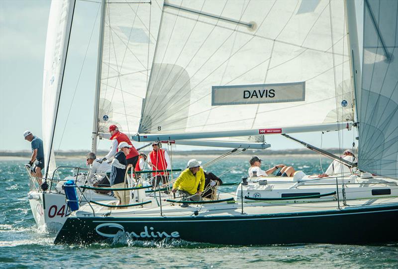 2021 International Masters Regatta - Day 1 photo copyright Mark Albertazzi taken at San Diego Yacht Club and featuring the J105 class