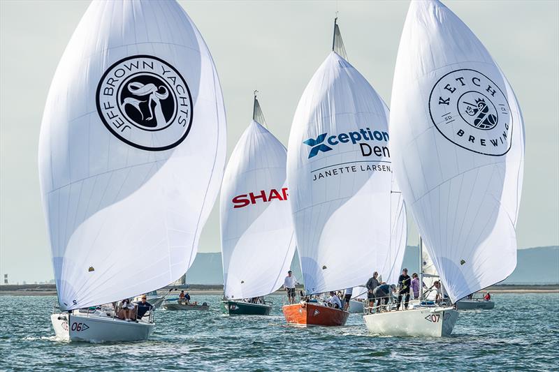 2022 International Masters Regatta day 1 photo copyright Mark Albertazzi taken at San Diego Yacht Club and featuring the J105 class