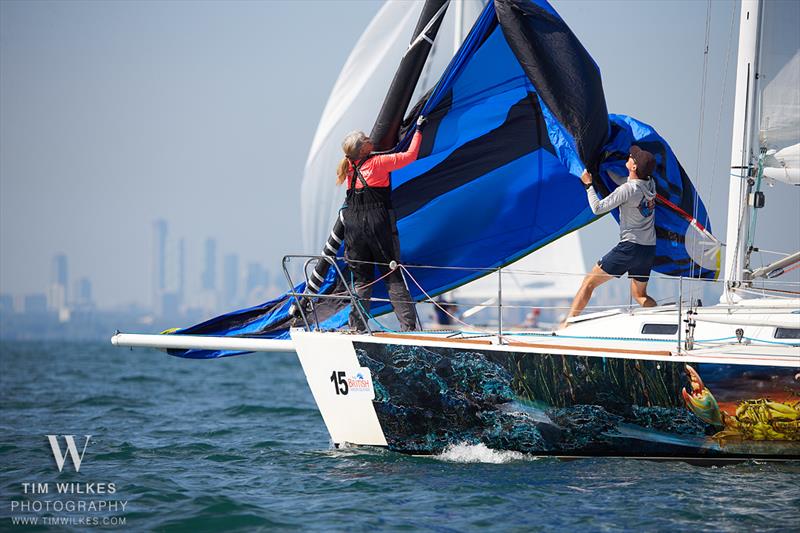 J/105 North American Championship 2025 photo copyright Tim Wilkes Photography taken at Royal Canadian Yacht Club and featuring the J105 class