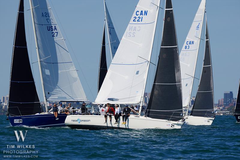 J/105 North American Championship 2025 - photo © Tim Wilkes Photography