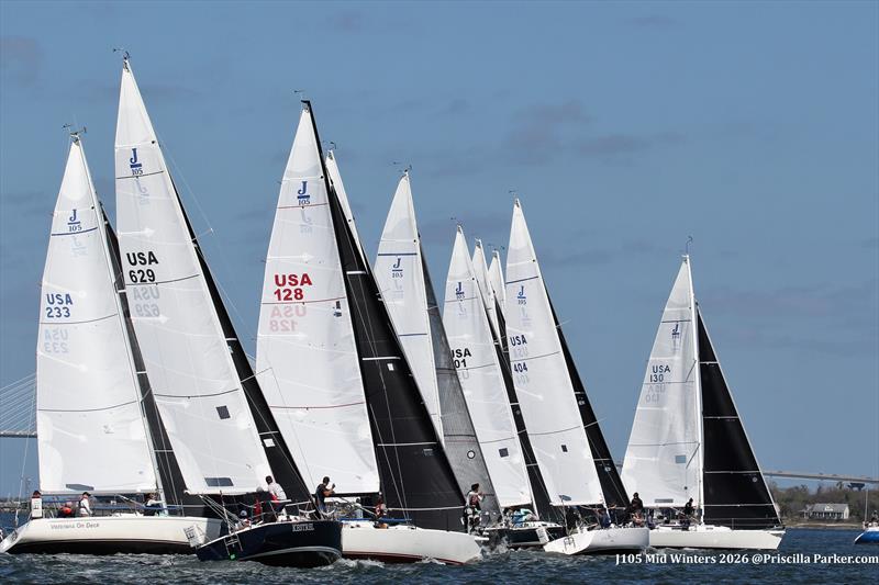2026 J/105 Midwinter Championship photo copyright Priscilla Parker taken at Charleston Yacht Club and featuring the J105 class