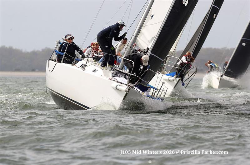 2026 J/105 Midwinter Championship photo copyright Priscilla Parker taken at Charleston Yacht Club and featuring the J105 class