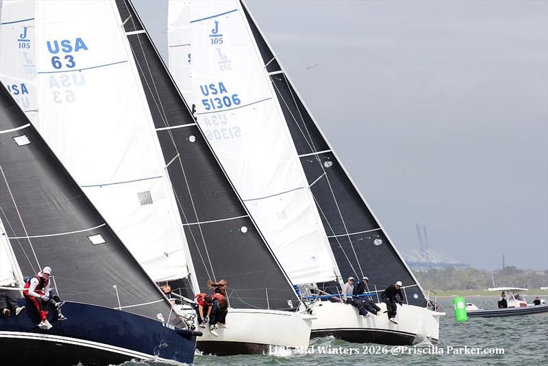 2026 J/105 Midwinter Championship photo copyright Priscilla Parker taken at Charleston Yacht Club and featuring the J105 class