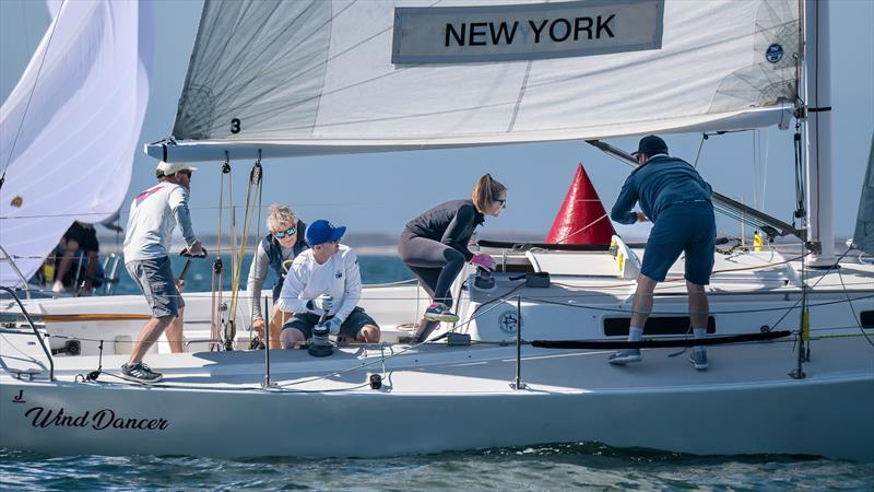 Lipton Cup Regatta 2025 - photo © Mark Albertazzi