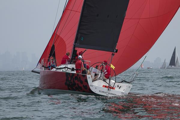 Scarlet Runner at the Australian Yachting Championships on Melbourne's Port Phillip photo copyright Alex McKinnon Photography taken at Sandringham Yacht Club and featuring the J111 class