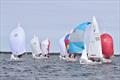 2019 J/22 Midwinter Championship - Day 3 © Christopher Howell