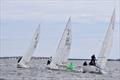 2019 J/22 Midwinter Championship - Day 3 © Christopher Howell