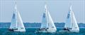 J/22 North American Championship final day © Gretchen Dorian