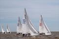 2024 J/22 Midwinter Championship © Christopher Howell