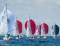 © Royal Cape Yacht Club