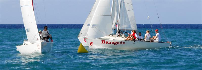 Jamin Jamaica J/22 Regatta - photo © Jamin Jamaica J / 22 Regatta